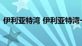 伊利亚特湾 伊利亚特湾一期二手房价格浑南