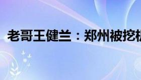 老哥王健兰：郑州被挖机损毁车辆车主发声