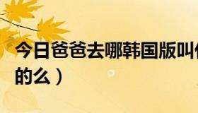 今日爸爸去哪韩国版叫什么（爸爸去哪是韩国的么）