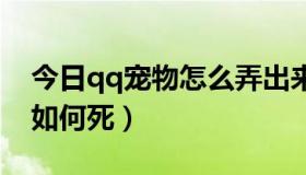 今日qq宠物怎么弄出来2021手机（QQ宠物如何死）