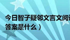 今日智子疑邻文言文阅读答案（智子疑邻阅读答案是什么）