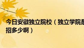 今日安徽独立院校（独立学院是怎么回事　安徽今年三本扩招多少啊）