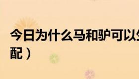 今日为什么马和驴可以生（马和驴为什么能交配）