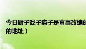 今日厨子戏子痞子是真事改编的吗（厨子戏子痞子高清下载的地址）