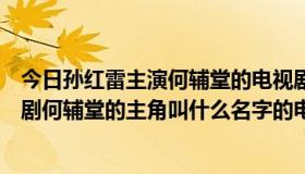 今日孙红雷主演何辅堂的电视剧叫啥名（孙红雷主演的电视剧何辅堂的主角叫什么名字的电视剧）