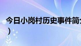 今日小岗村历史事件简介（小岗村的历史沿革）