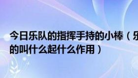 今日乐队的指挥手持的小棒（乐队前面那个拿着小棒子指挥的叫什么起什么作用）