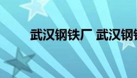 武汉钢铁厂 武汉钢铁厂和汉阳铁厂