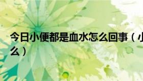 今日小便都是血水怎么回事（小便尿出来的都是血是因为什么）