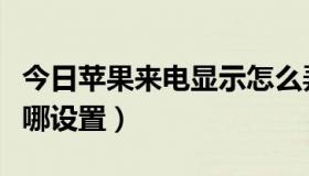 今日苹果来电显示怎么弄（苹果的来电显示在哪设置）