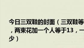 今日三双鞋的封面（三双鞋等于30，两个人加一双鞋等于20，两束花加一个人等于13，一只鞋加一个人乘一束花等于多少）