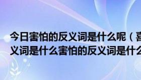 今日害怕的反义词是什么呢（喜悦的反义词是什么亲切的反义词是什么害怕的反义词是什么着急的反义词是什么）