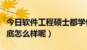 今日软件工程硕士都学什么（软件工程硕士到底怎么样呢）