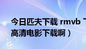 今日匹夫下载 rmvb 下载（有没有《匹夫》高清电影下载啊）