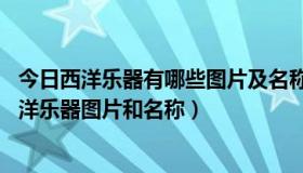 今日西洋乐器有哪些图片及名称 分类（西洋乐器有哪些，西洋乐器图片和名称）