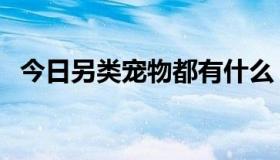 今日另类宠物都有什么（另类宠物有哪些）