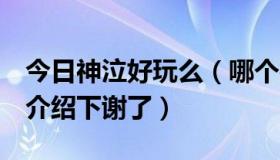 今日神泣好玩么（哪个神泣私服人多又好玩，介绍下谢了）