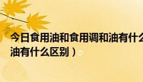 今日食用油和食用调和油有什么区别呢（食用油和食用调和油有什么区别）