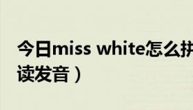 今日miss white怎么拼读（miss white怎么读发音）