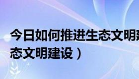 今日如何推进生态文明建设论文（如何推进生态文明建设）