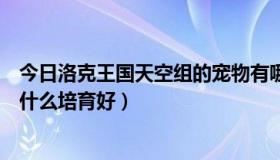 今日洛克王国天空组的宠物有哪些（洛克王国天空组什么跟什么培育好）