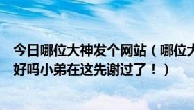 今日哪位大神发个网站（哪位大神知道她叫什么，告诉小弟好吗小弟在这先谢过了！）