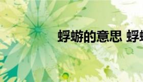 蜉蝣的意思 蜉蝣什么意思