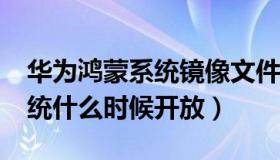 华为鸿蒙系统镜像文件iso下载（华为鸿蒙系统什么时候开放）