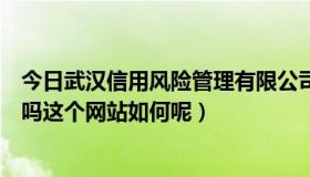 今日武汉信用风险管理有限公司（有上武汉信用家装修网的吗这个网站如何呢）