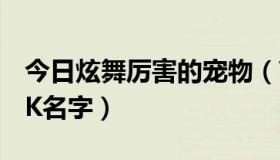 今日炫舞厉害的宠物（高分求一个炫舞宠物PK名字）