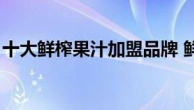 十大鲜榨果汁加盟品牌 鲜榨果汁加盟哪家好）