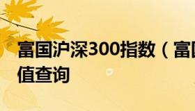 富国沪深300指数（富国沪深300指数基金净值查询