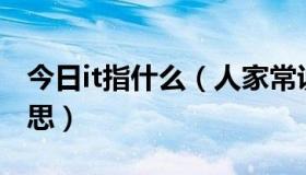 今日it指什么（人家常说IT界、IT界是什么意思）