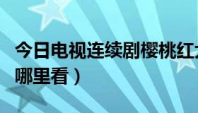 今日电视连续剧樱桃红大结局（樱桃红大结局哪里看）