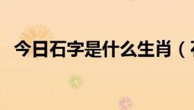 今日石字是什么生肖（石字代表什么生肖）