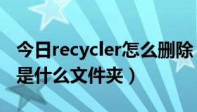 今日recycler怎么删除（U盘里的RECYCLER是什么文件夹）