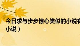 今日求与步步惊心类似的小说有哪些（求与步步惊心类似的小说）