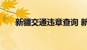 新疆交通违章查询 新疆违章查询系统