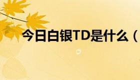 今日白银TD是什么（白银T D是什么）