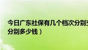 今日广东社保有几个档次分别交多少钱（新百伦993和990分别多少钱）