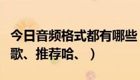 今日音频格式都有哪些（曹格都有哪些好听的歌、推荐哈、）