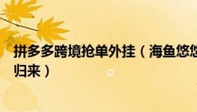 拼多多跨境抢单外挂（海鱼悠悠游：飞赴海外的抢单团陆续归来）