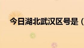 今日湖北武汉区号是（湖北省武汉区号）