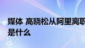 媒体 高晓松从阿里离职 高晓松在阿里的职务是什么