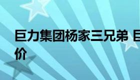 巨力集团杨家三兄弟 巨力集团杨家三兄弟身价