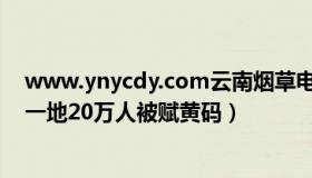 www.ynycdy.com云南烟草电子商务网站（苏德超：云南一地20万人被赋黄码）