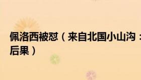 佩洛西被怼（来自北国小山沟：被制裁的佩洛西将承担哪些后果）