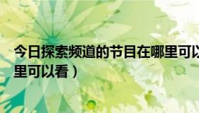 今日探索频道的节目在哪里可以看呢（探索频道的节目在哪里可以看）