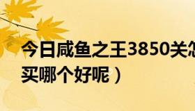 今日咸鱼之王3850关怎么过（3850和9600买哪个好呢）