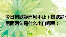 今日树欲静而风不止（树欲静而风不止，子欲养而亲不待，后面两句是什么出自哪里）